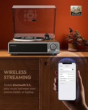 Amazon.com: ONE-Q All-in-one Vinyl Record Player with